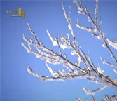 安徽站-九华山祈福法会